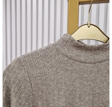 Trui Fleurine - grijs