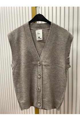 Vest mouwloos  Janna - grijs *