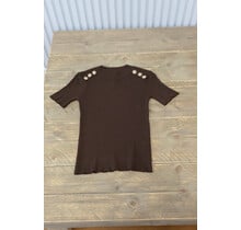 Truitje Saar - bruin