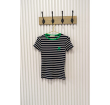 Truitje Janiek - blauw/groen