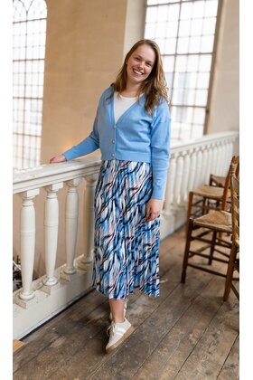 Rok Amber - dessin blauw/wit