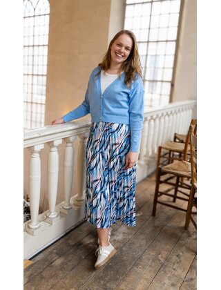 Rok Amber - dessin blauw/wit