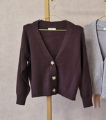 Vest Suzan - bruin