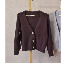 Vest Suzan - bruin