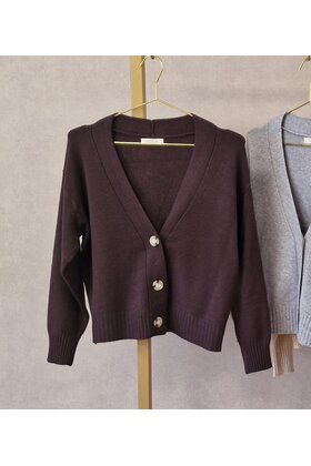 Vest Suzan - bruin