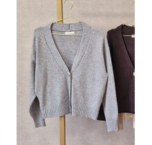 Vest Suzan - grijs
