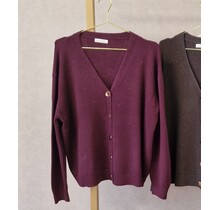 Vest Liesbeth - bordeaux
