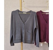 Vest Bettine - grijs