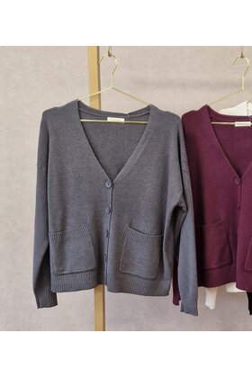 Vest Bettine - grijs