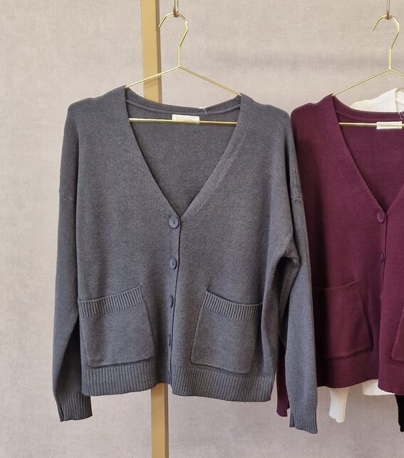 Vest Bettine - grijs