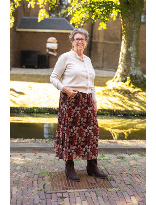 Rok plissé kort model - bladeren bruin