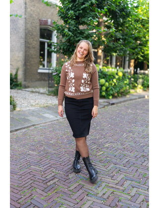 Trui Veerle - cognac