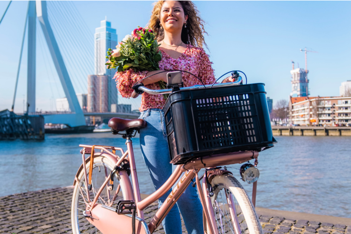 Altec Dutch Transportfiets 28 inch 57cm 3v 9
