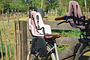 Altec Sweet Moederfiets 28 inch 55cm 3v 5 klein