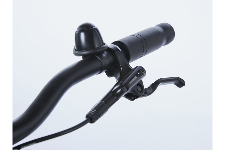 Cortina Mozzo Damesfiets 28 inch 51cm ND7 Belt 15