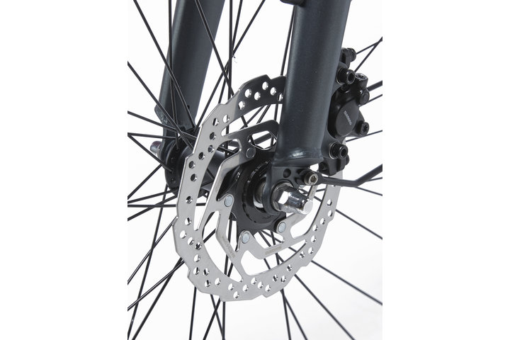 Cortina E-Common Damesfiets Bosch Active Line Plus 28 inch 50cm DB7 11