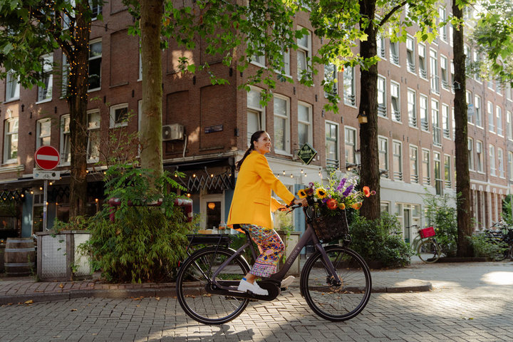 Cortina E-Common Damesfiets Bosch Active Line Plus 28 inch 50cm DB7 3