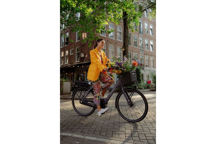 Cortina E-Common Damesfiets Bosch Active Line Plus 28 inch 50cm DB7 4