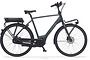 Cortina E-Common Herenfiets Bosch Active Line Plus 28 inch DB7 1 klein