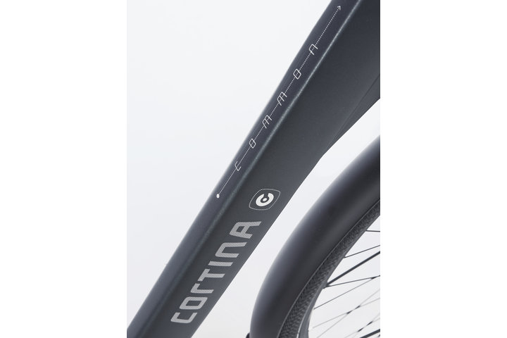 Cortina E-Common Damesfiets Bosch Active Line Plus 28 inch Demitasse Matt DB7 Belt 12