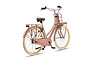 Outlet Altec Love Transportfiets 28 inch 53cm 3v 5 klein