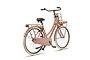 Outlet Altec Classic Dames Transportfiets 53cm 5 klein