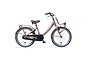 Alpina Clubb Kinderfiets Transport 20 inch 3 klein