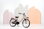 Alpina Clubb Kinderfiets Transport 20 inch 12 klein