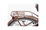 Alpina Clubb Kinderfiets Transport 20 inch 18 klein