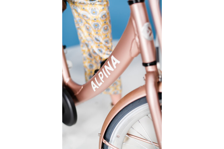 Alpina Clubb Kinderfiets Transport 22 inch 8