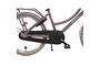 Alpina Cargo Kinderfiets Transport 20 inch 18 klein