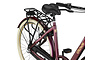 Crown Rio Plus Damesfiets 28 inch 53cm 3v 6 klein