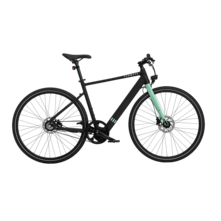 Tenways TENWAYS CGO600 Elektrische Herenfiets 28 inch 50 cm M