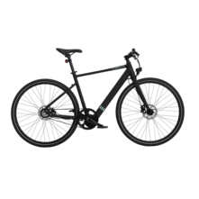 Tenways TENWAYS CGO600 Elektrische Herenfiets 28 inch 50 cm M