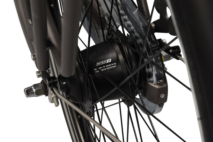 Altec Cosmos X E-Bike Dames 28 inch 52cm 7v 20
