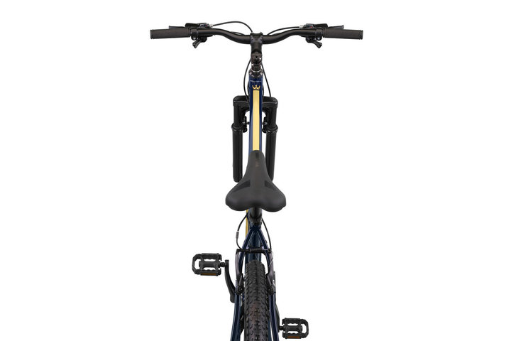 Altec King Mountainbike 29 inch Schijfremmen 21v 8