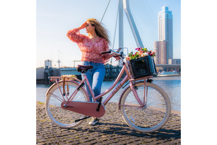 ACTIE Altec Dutch Transportfiets Dames 28 inch 57cm 3v 8