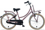 Alpina Cargo Kinderfiets Transport 22 inch 3 klein