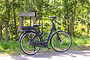 Altec Delta E-Bike 28 inch 53cm Middenmotor 7v 4 klein