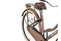 Altec Urban Kinderfiets Transport Meisjes 26 inch 5 klein