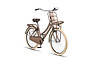Altec Urban Kinderfiets Transport Meisjes 26 inch 8 klein
