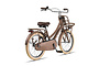 Altec Urban Kinderfiets Transport 20 inch 10 klein