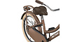 Altec Urban Kinderfiets Transport 20 inch 12 klein