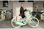 Altec Urban Kinderfiets Transport 24 inch 10 klein