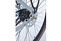 Cortina Mozzo Herenfiets 28 inch 61cm ND7 Belt 14 klein
