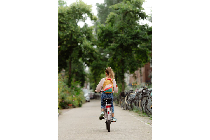 Cortina U4Mini Transportfiets 26 inch R3 8
