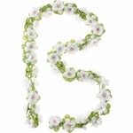 Basil bloemslinger