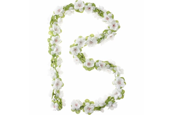 Basil bloemslinger 1