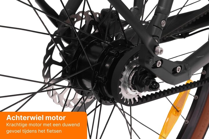 Altec Cento Elektrische Damesfiets 28 inch 53cm Belt Intube 9