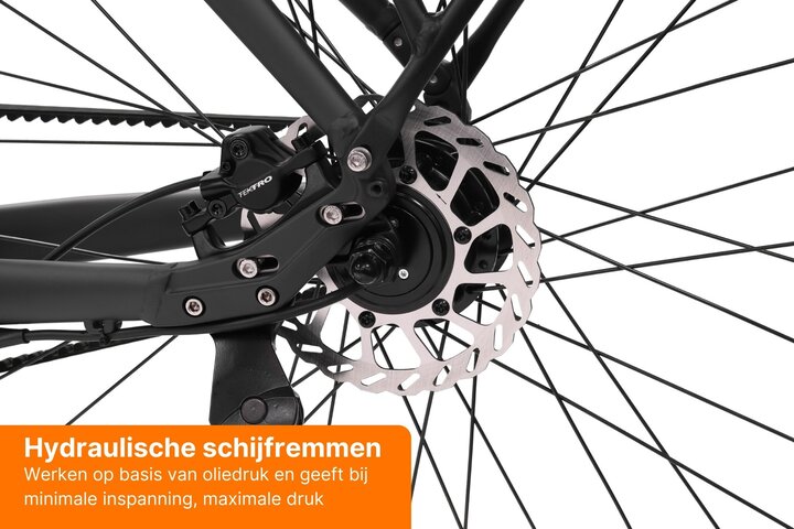 Altec Cento Elektrische Damesfiets 28 inch 53cm Belt Intube 12